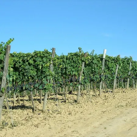 Poggiarellino - * Montalcino