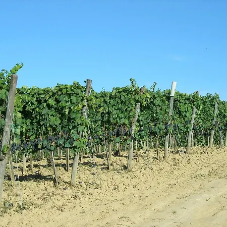 Poggiarellino - * Montalcino