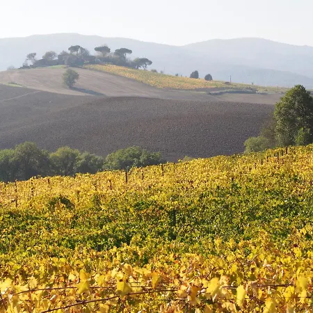 Appartamento Poggiarellino - Montalcino